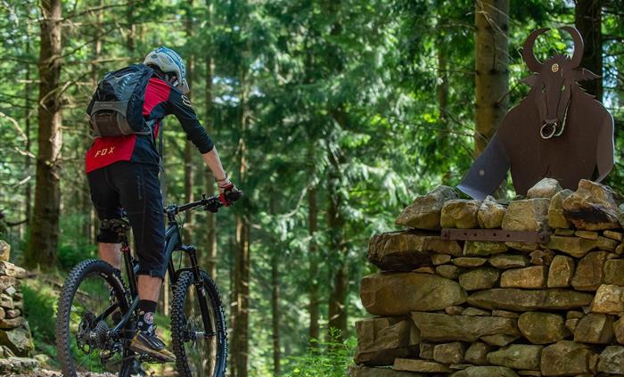 Minotaur Trail Coed y Brenin